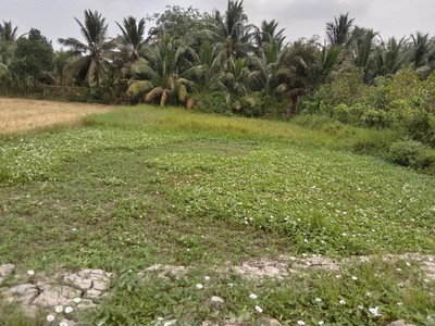 Cần ra nhanh lô đất đẹp d1-xã phú đức-long hồ -vĩnh long 1