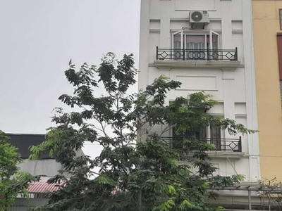 Cho thuê nhà ở, văn phòng lim - tiên du - bắc ninh 2