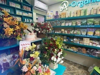 Mt1730. cho thuê nhà mặt đường hoàng minh thảo 64m2 vừa ở vừa kinh doanh 3
