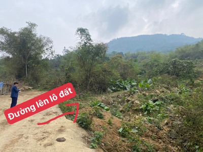 Bán đất phú mãn , quốc oai, hà nội 2171m2 giá nhỉnh 2tr/m2 1