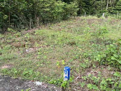 Gấp chủ cần tiền bán gấp lô đất ấp khu tượng 127m2 Quy hoạch ont xây dụng tự do 1