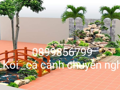 Tư vấn bể cá giá hợp lý tại thanh hoá 3