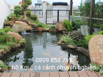 Tư vấn bể cá giá hợp lý tại thanh hoá 0