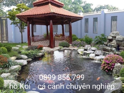 Tư vấn bể cá giá hợp lý tại thanh hoá 2
