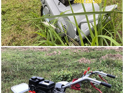 Nơi bán máy cắt cỏ đẩy tay Kawasaki VMTB70 4