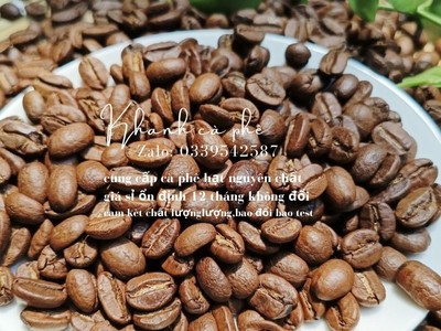 Cung cấp cà phê rang mộc pha máy tại Biên Hòa- Đồng Nai chỉ với 100k/kg 1