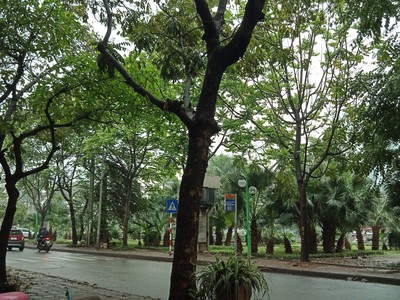 Cho thuê cửa hàng tại 692 Kim Giang 6