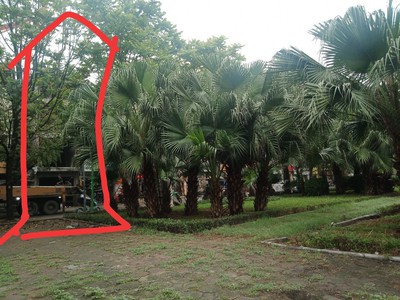 Cho thuê cửa hàng tại 692 Kim Giang 7