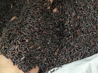 Gạo lứt đen dẻo điện biên 0