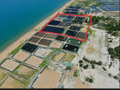 Cần bán lô đất 5000m2 mặt tiển biển Hòa Thắng, kế bên KDL Sanfrancisco 1