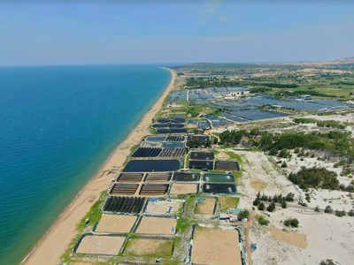 Cần bán lô đất 5000m2 mặt tiển biển Hòa Thắng, kế bên KDL Sanfrancisco 2