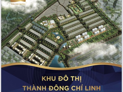 Đất nen ven khu công nghiệp - Dự án Thành Đông Chí Linh Hải Dương 0