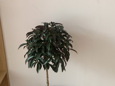 Phòng đầy đủ tiên nghi- gần HỒ TÂY 4