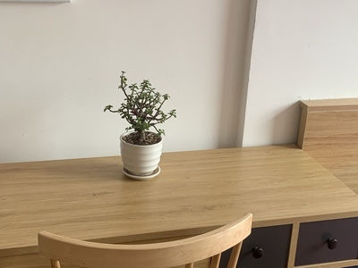 Phòng đầy đủ tiên nghi- gần HỒ TÂY 5