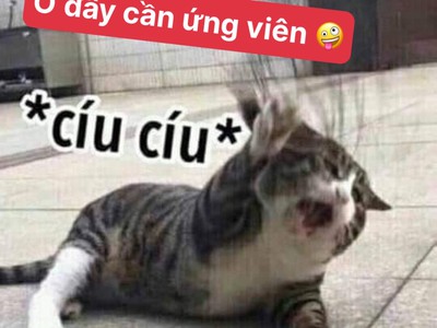 Tuyển sinh khóa học chuyên ngành hàng không 0
