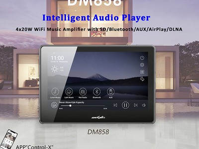 DM858 Âm ly nghe nhạc 0