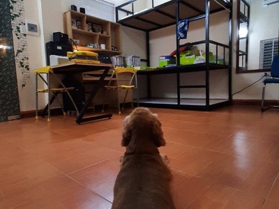 Cho thuê nhà nguyên căn  nguyễn văn linh, long biên. 40m2   2 p.ngủ   full nội thất 2