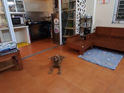 Cho thuê nhà nguyên căn  nguyễn văn linh, long biên. 40m2   2 p.ngủ   full nội thất 0