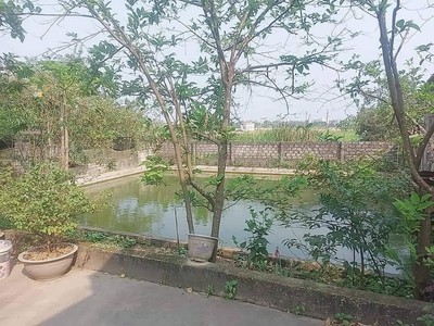 Bán nhà vườn rộng phố Quyết Thắng phường Quảng Thịnh 2