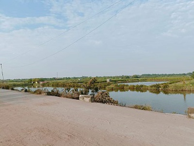 Chính chủ cần bán lô đất đẹp tại nghĩa hưng - nam định 2
