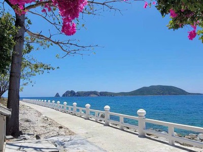 Sang nhượng 4 hecta đất mặt tiền biển Đảo Bích Đầm - TP Nha Trang chỉ 25 tỷ 4