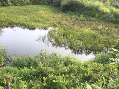 Chính chủ cần bán lô đất trang trại tại trung thành   vị xuyên   hà giang 2