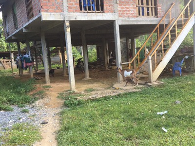 Chính chủ cần bán lô đất trang trại tại trung thành   vị xuyên   hà giang 0