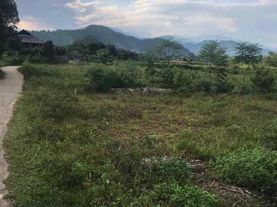 Chính chủ cần bán lô đất trang trại tại trung thành   vị xuyên   hà giang 1