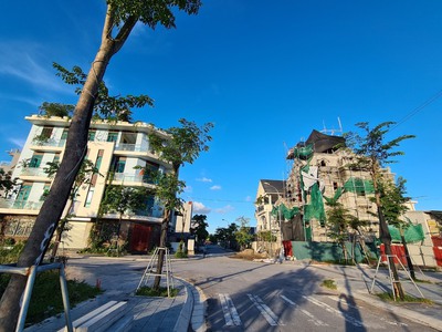 Tôi cần bán lô h28 khu biệt thự nguyên khê, vị trí hiếm, đường 8m, vỉa hè 6m. giá hợp lý 3