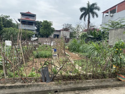 Hoa hậu làng  bán lô 58m  ninh môn - hiền ninh - sóc sơn hàng f1 cho anh em đầu tư. 2