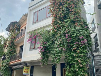 Chính chủ cho thuê nhà nguyên căn mặt phố kinh doanh, mới tinh, 3 tầng. 0