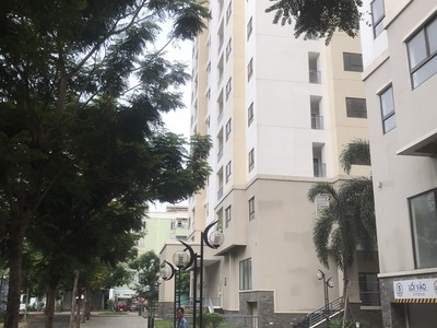 Căn Hộ Yên Bình Giữa Trung Tâm Quận 12 4