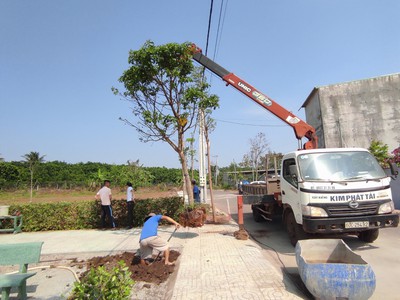 Dầu Bóng Phủ Gỗ Ngoài Trời A900 2753