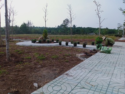 Dầu Bóng Phủ Gỗ Ngoài Trời A900 2731