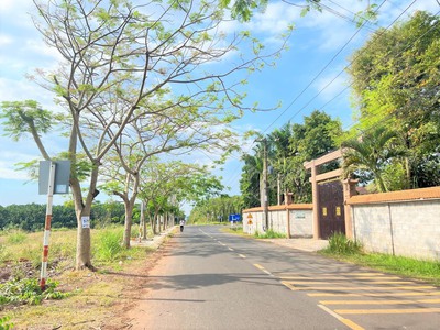 Dầu Bóng Phủ Gỗ Ngoài Trời A900 2729