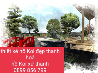 Thi công hồ Koi thanh hoá, tiểu cảnh, non bộ, sân vườn thác nước, hồ b 3