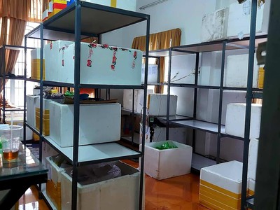 Dầu Bóng Phủ Gỗ Ngoài Trời A900 2620