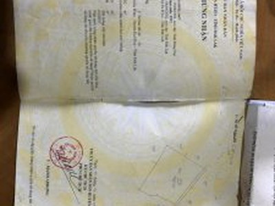 Dầu Bóng Phủ Gỗ Ngoài Trời A900 3301