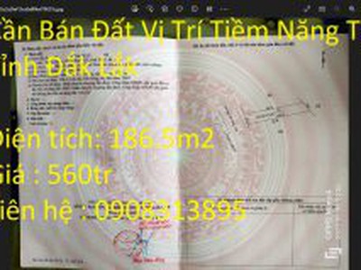 Dầu Bóng Phủ Gỗ Ngoài Trời A900 4531