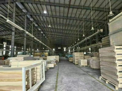 Cho thuê 10.000m2 xưởng trong KCN Nam Tân Uyên, Bình Dương 1