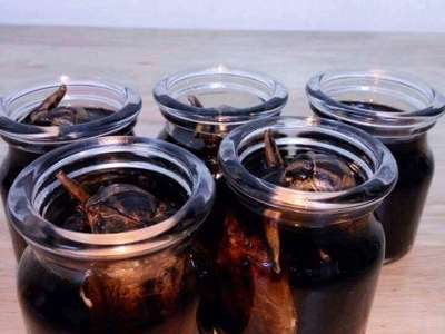 Bán Cà Cuống nguyên con , tinh dầu Cà Cuống thơm lừng , nước mắm Cà Cuống tại HN 9