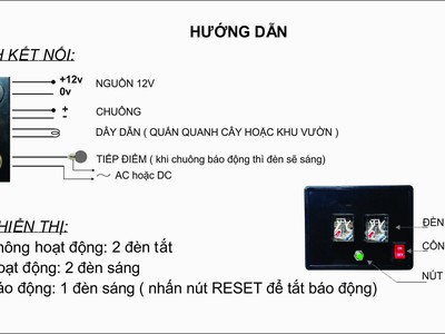 Chống trộm cây cảnh nhỏ gọn 2