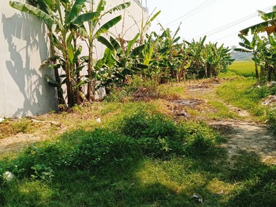 Chính chủ bán lô đất mặt tiền đường 8.75m tại thôn quyết thắng, xã quảng thịnh   tp thanh hóa 1