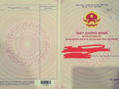 Dầu Bóng Phủ Gỗ Ngoài Trời A900 6374