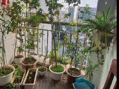 Mát lạnh.. bán chung cư mễ trì 87m - 2.65 tỷ 1