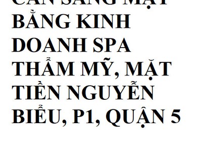 Cần sang mặt bằng kinh doanh spa thẩm mỹ, mặt tiền nguyễn biểu, p1, quận 5 0