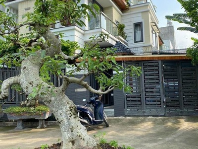 Bán biệt thự sân vườn siêu đẹp thạnh xuân quận 12 , 3 tầng 7pn giá chỉ 9,2 tỷ 0