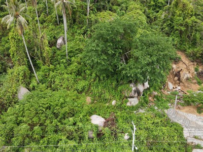 Cơ hội sở hữu bđs ngộp có 1 không 2 tại hòn sơn 4