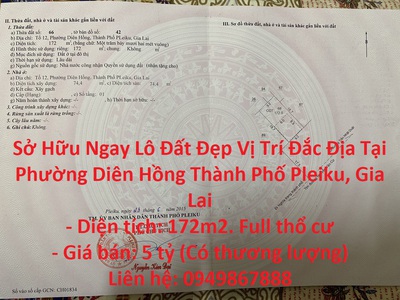 Dầu Bóng Phủ Gỗ Ngoài Trời A900 9828